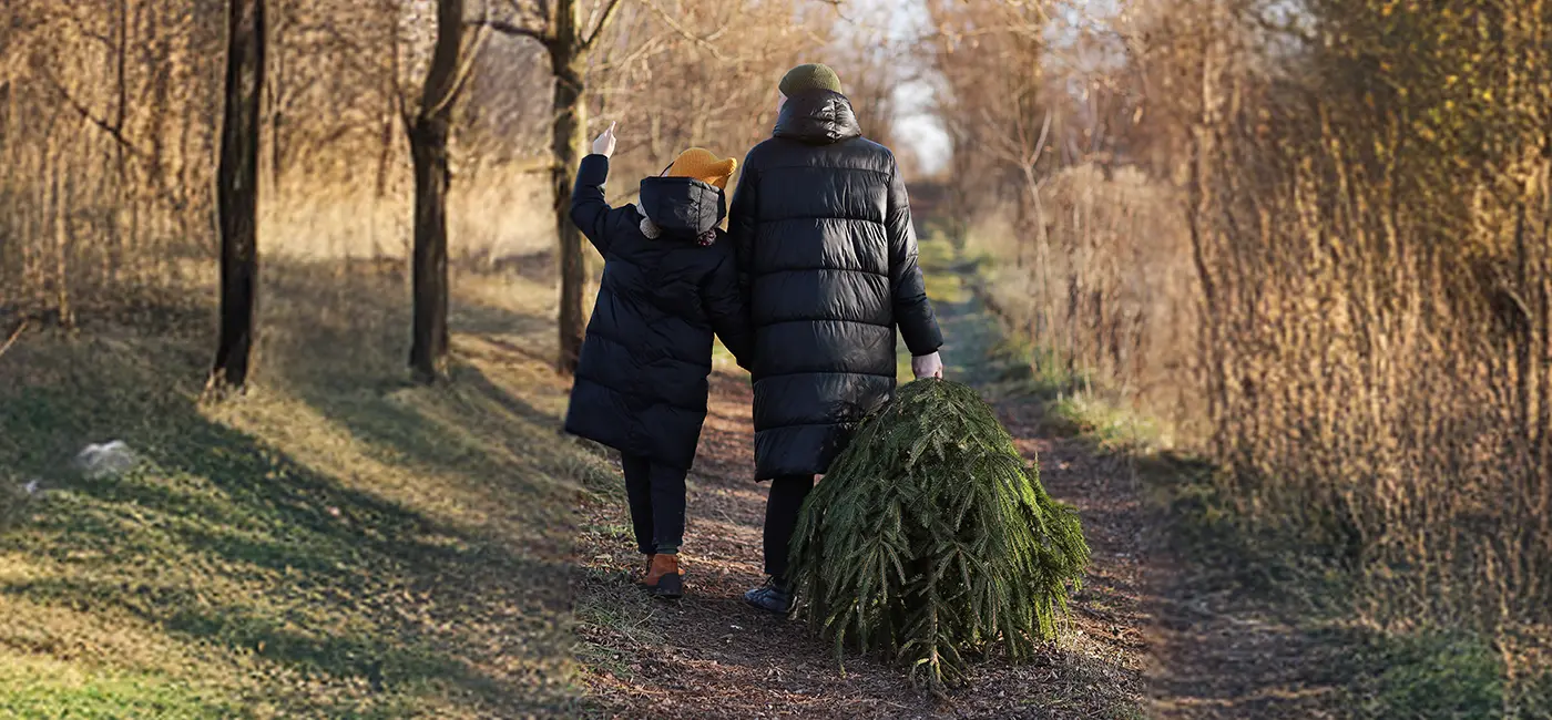 Young father and daughter joyfully carrying a Christmas tree home, preparing to decorate their house for the New Year celebration
