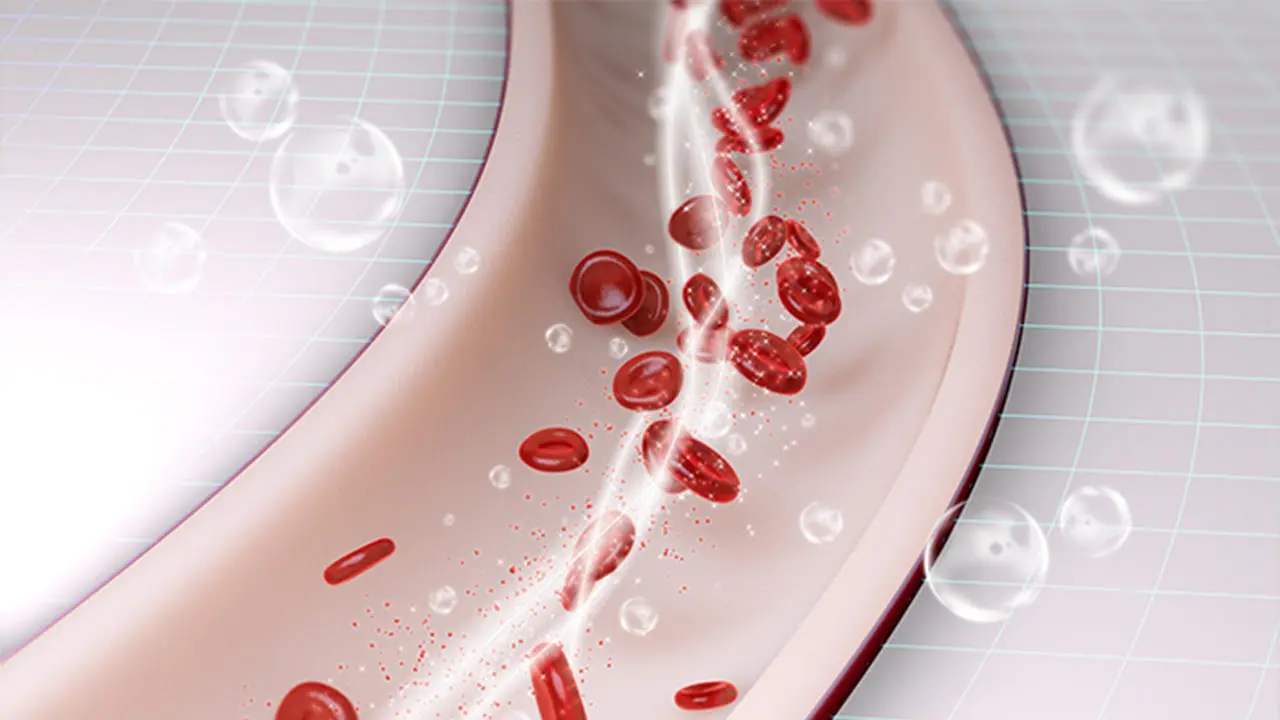 Eine Grafik einer offenen Vene. Sie können sehen, wie die Blutzellen durch das Röhrchen fließen. 