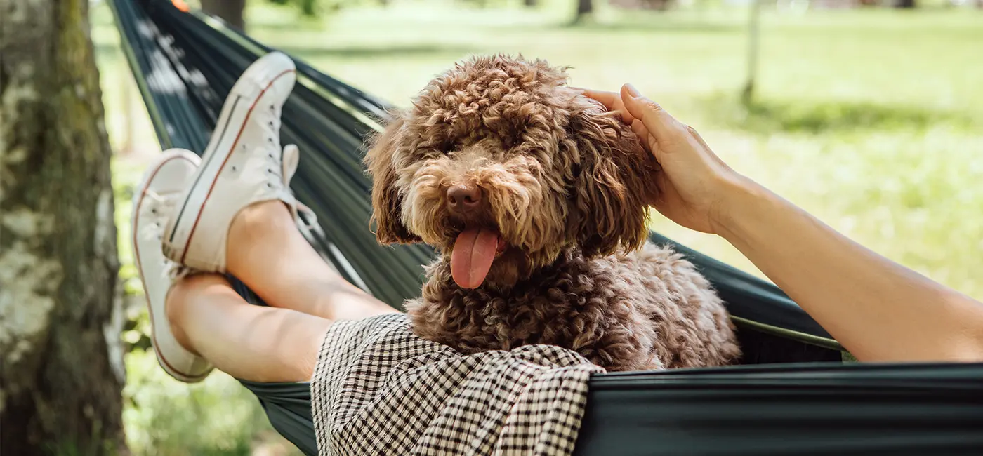 Woman relaxing in a hammock outdoors, gently petting her dog on a sunny day - a peaceful moment of connection and calm.