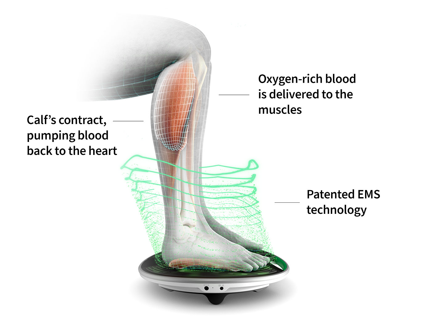 Foot exerciser for discount circulation